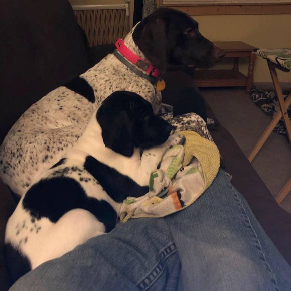 Meet your Posher, Tiffany - Picture 1 of 1